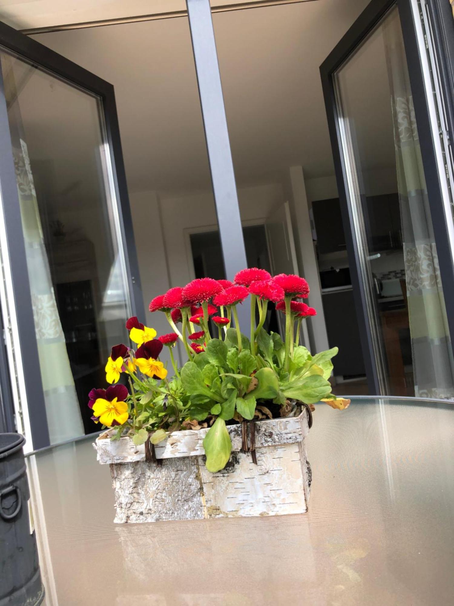 Haus Hanni Priepert Exteriör bild